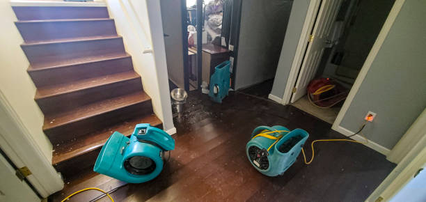 Best Water damage restoration near me  in Grandyle Village, NY