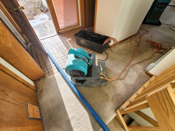 Best 24/7 water damage repair  in Grandyle Village, NY