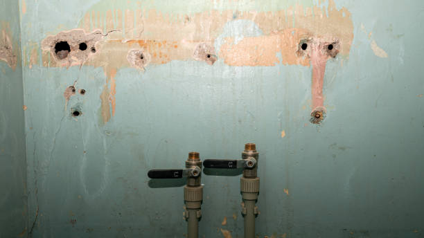 Best Basement water damage restoration  in Grandyle Village, NY