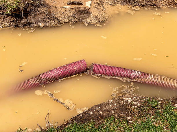 Best 24-hour water damage restoration  in Grandyle Village, NY